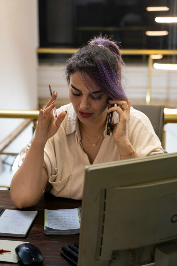 Plan Inicio – Definición de Empresa